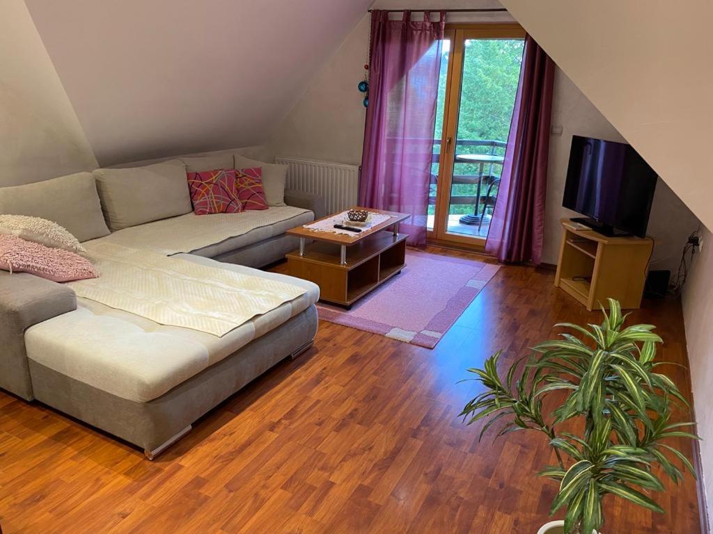 Apartments Vila Knez Zlatibor Værelse billede